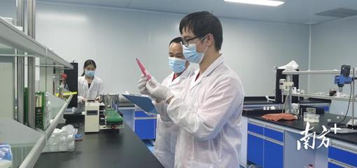 走進高新區(qū)&middot;感受新發(fā)展丨產(chǎn)值將突破50億元!梅州平遠南藥產(chǎn)業(yè)向全產(chǎn)業(yè)鏈邁進